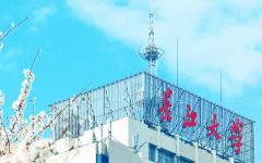 而它的王牌专业正在全国也有较强的